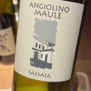 Azienda Agricola La Biancara - Angiolino Maule - Sassaia