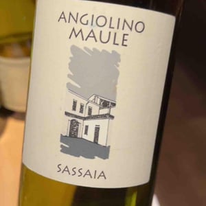 Sassaia - Azienda Agricola La Biancara - Angiolino Maule 