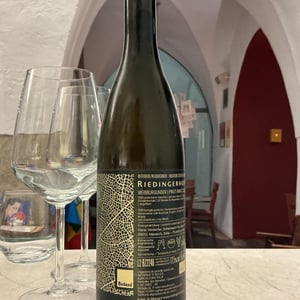 Sasspinot - Pinot Bianco - Riedingerhof - famiglia-verdorfer 