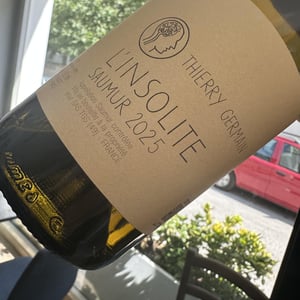 Saumur Blanc Insolite - Domaine des Roches Neuves - Thierry et Louis Germain -2019