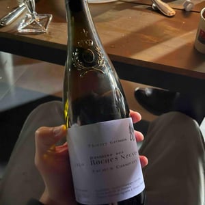 Saumur Champigny - Domaine des Roches Neuves - Thierry et Louis Germain 