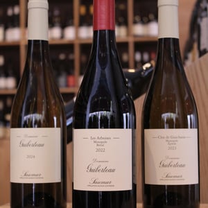 Saumur "Les Arboises" Romain Guiberteau - Domaine Guiberteau - romain-guiberteau -2020