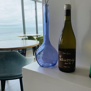 Sauvage - Domaine Saint-Cyr - raphael-saint-cyr