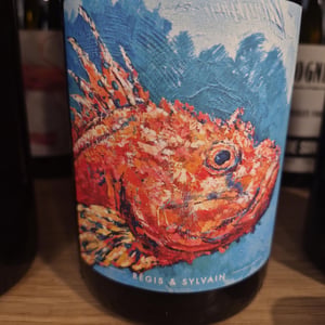 Sauvignon Blanc - Clos de Somméré - regis-sylvain