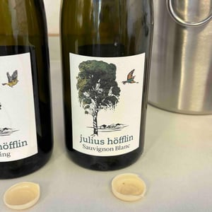 Sauvignon Blanc Zaunkönig - Weingut Höfflin - Matthias und Julius Höfflin 
