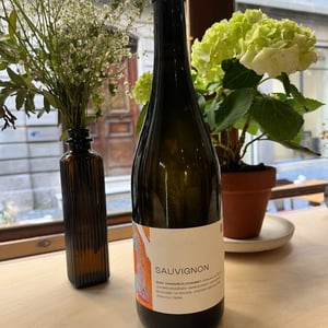 Sauvignon - Domaine du Chambet - Anthony Fonjallaz -2022