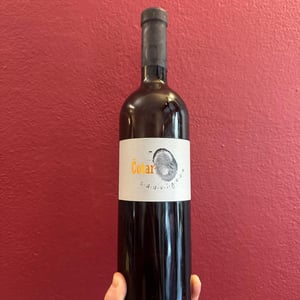 Sauvignon - Čotar - Branko & Vasja Čotar 