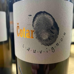 Sauvignon - Čotar - branko-vasja-cotar