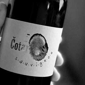 Sauvignon - Čotar - Branko & Vasja Čotar 