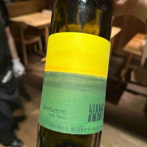 Sauvignon vom Opok - Weingut Muster - Maria & Sepp Muster