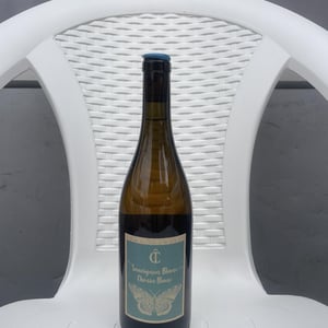 Sauvignon x Chenin - Saumur-Champigny - come-isambert -2022