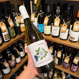 Sauvignon - Visintini - Visintini -2024