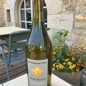 Savagnin En Bois d’Arnaux - Les Pieds Sur Terre - Valentin Morel 