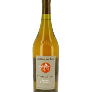 Savagnin - Les Pieds Sur Terre - Valentin Morel 