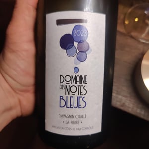 Savagnin ouille - Domaine des Notes Bleues - Cédric Mottet -2020