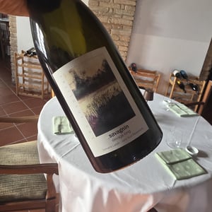 Savagnin - Domaine Labet - julien-charline-romain-labet