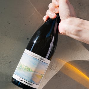 Savennières La plage abandonnée - Payen - Ludovic Payen -2024