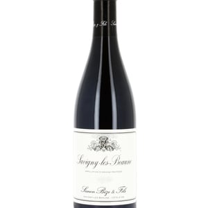 Savigny Les Beaunes - Simon Bize et fils - Famille Bize -2022
