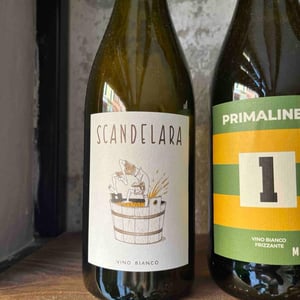 Scandelara Bianco - Scandelara - Azienda Agricola Castel Arienti - Mattia Donini
