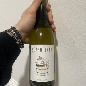Scandelara Bianco - Scandelara - Azienda Agricola Castel Arienti - mattia-donini-4l