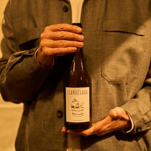 Scandelara Bianco - Scandelara - Azienda Agricola Castel Arienti - Mattia Donini 