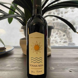 Schiava Nera - Azienda Agricola Gino Pedrotti - michele-pedrotti -2023