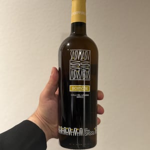 Scimone - Sassu vini - sassu -2021