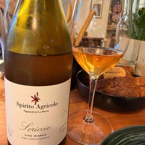 Scriccio - Spirito Agricolo Ballarin - Gianni & Cecilia Viberti -2023
