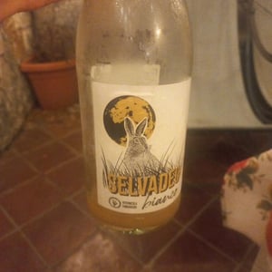 Selvadeg Bianco - Vitivinicola Fangareggi - matteo-fangareggi