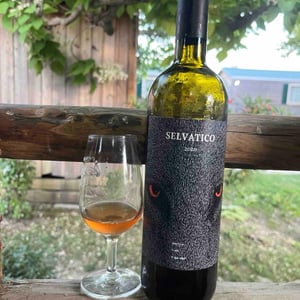 Selvatico - Società agricola Delle Selve - alberto-volanti