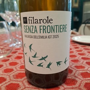 Senza Frontiere - Filarole - Barbara Pulliero & Paolo Rusconi -2024