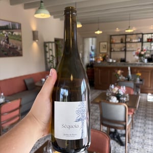 Séquoia 75cl - Jardins de Fleury - carole-kohler