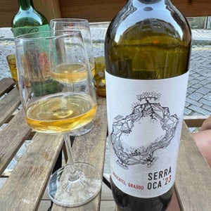 Serra Oca – Moscatel Graudo - Quinta do Olival da Murta - vivas-family -2020