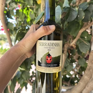 Serradinha Branco - Quinta da Serradinha - António Marques da Cruz -2024