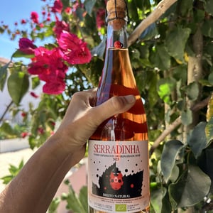 Serradinha Espumante - Quinta da Serradinha - António Marques da Cruz -2023