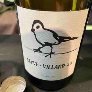 Seyve villard - Didier Grappe - Didier et Jules Grappe -2022