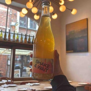 Shake & Wait Pet Nat Orange - Brand Bros - Weingut Brand - Daniel & Jonas Brand 