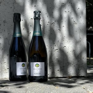 Shaman - Champagne Marguet - Benoît Marguet 