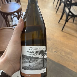 SILENE - Domaine Des Crais - Ben et Andrea Vauchez Tissier -2024