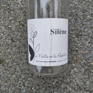 Silène - La Vrille et le Papillon - geraldine-meryl-croizier