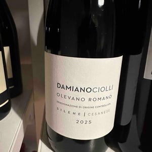 Silene - Damiano Ciolli - Damiano Ciolli 