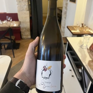 Simone de BeauBoire - Domaine Des Crais - ben-et-andrea-vauchez-tissier -2024