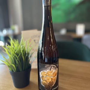 Singulier - Vignoble du Rêveur - Mathieu Deiss & Emmanuelle Milan 