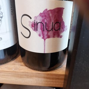 Sinua - Domaine Régnier-David - Jean-Francois Régnier -2021