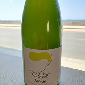 Sirius - Le Petit Domaine d'Echiat - serge-gayet -2024
