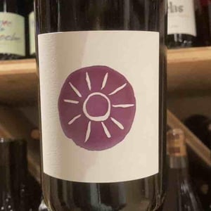 Sol - Domaine Gramiller - Frédéric Julien -2023