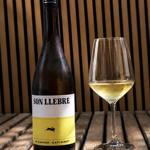 Son llebre blanc - Ve d'Avior - Cati Ribot 
