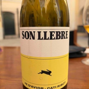 Son llebre blanc - Ve d'Avior - Cati Ribot