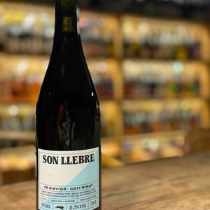 Son llebre negre - Ve d'Avior - Cati Ribot -2020