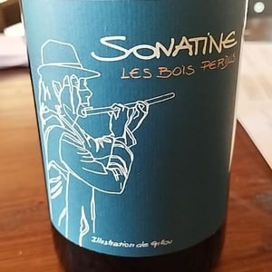 Sonatine - Les Bois Perdus - lena-perdu-alexis-robin